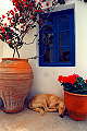 Foto - Stilleben